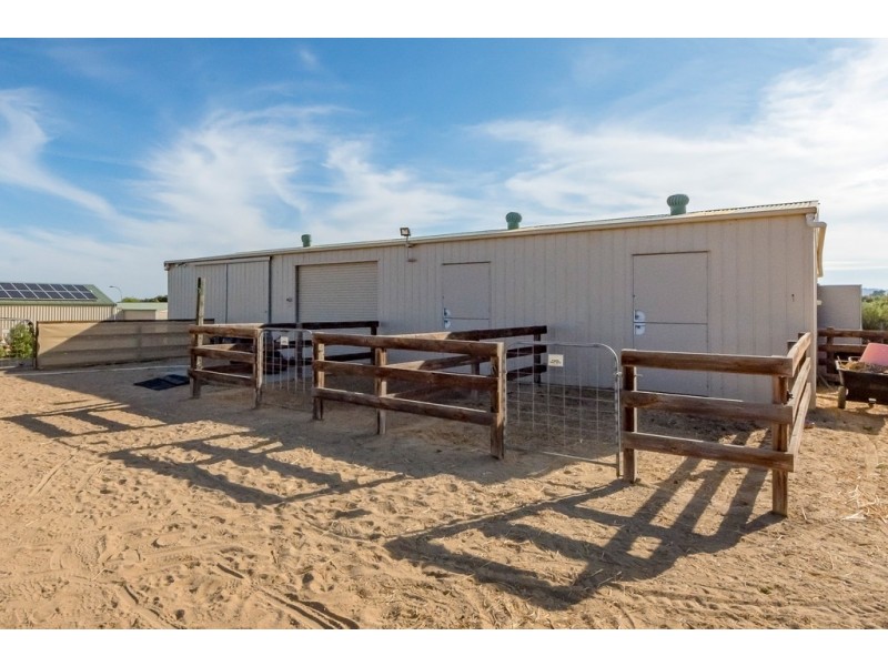 117 Trainers Way, Strathalbyn SA 5255