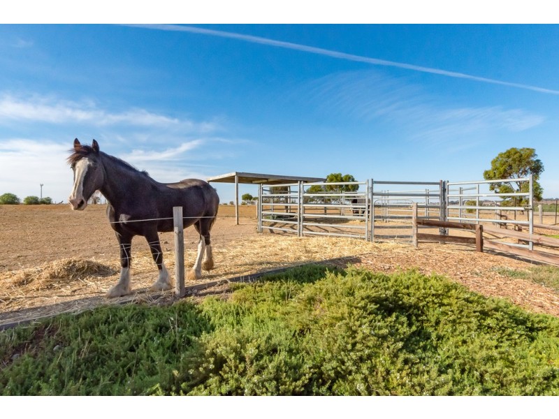 117 Trainers Way, Strathalbyn SA 5255