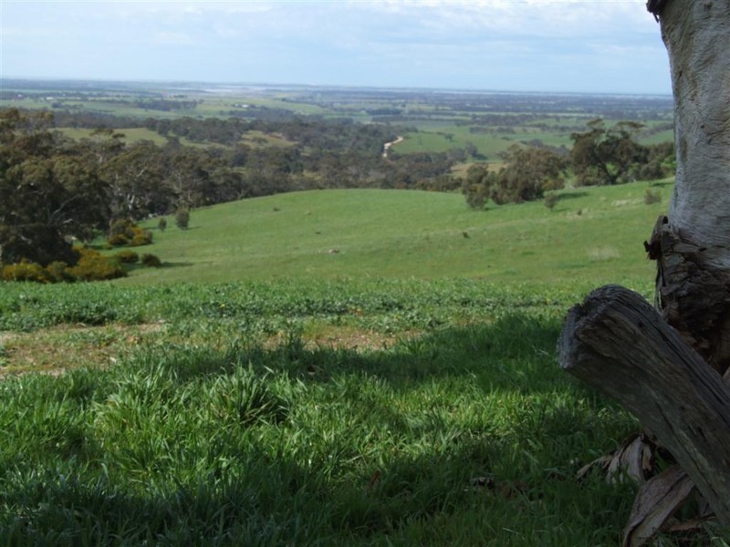Lot 14 Signal Flat Road, Ashbourne SA 5157