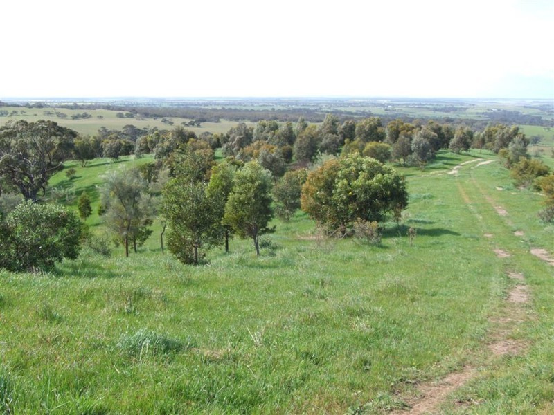 Lot 14 Signal Flat Road, Ashbourne SA 5157