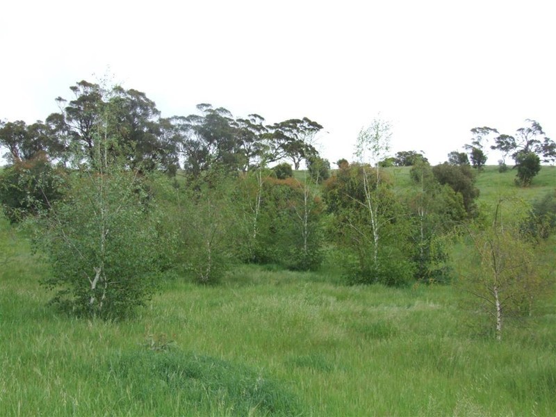 Lot 14 Signal Flat Road, Ashbourne SA 5157