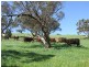 Lot 14 Signal Flat Road, Ashbourne SA 5157