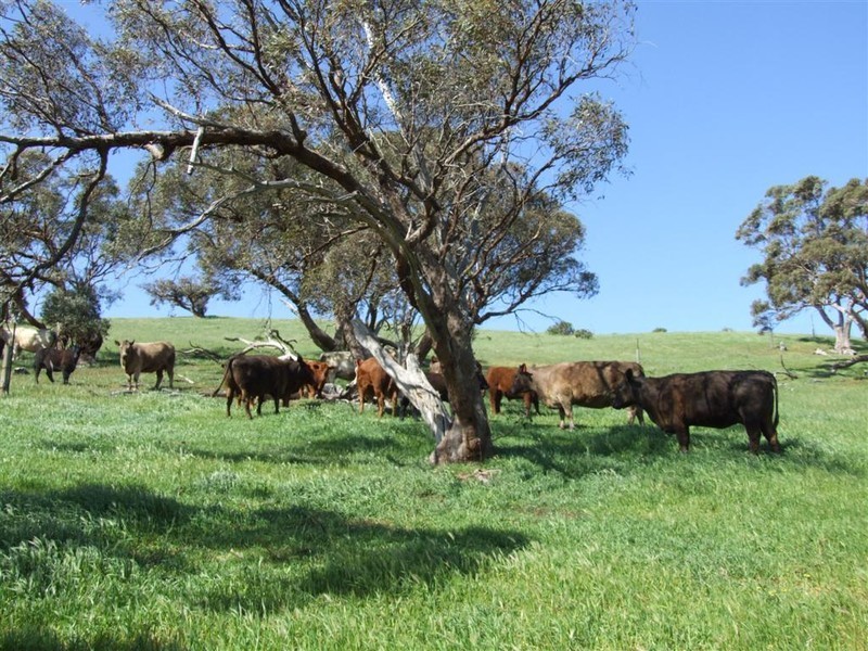 Lot 14 Signal Flat Road, Ashbourne SA 5157