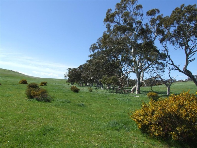 Lot 14 Signal Flat Road, Ashbourne SA 5157