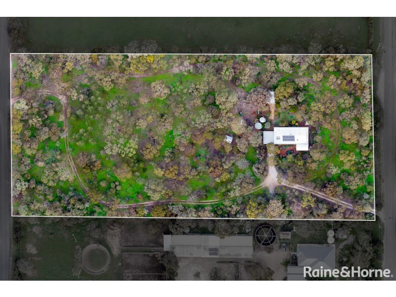 31 Matrice Court, Strathalbyn SA 5255