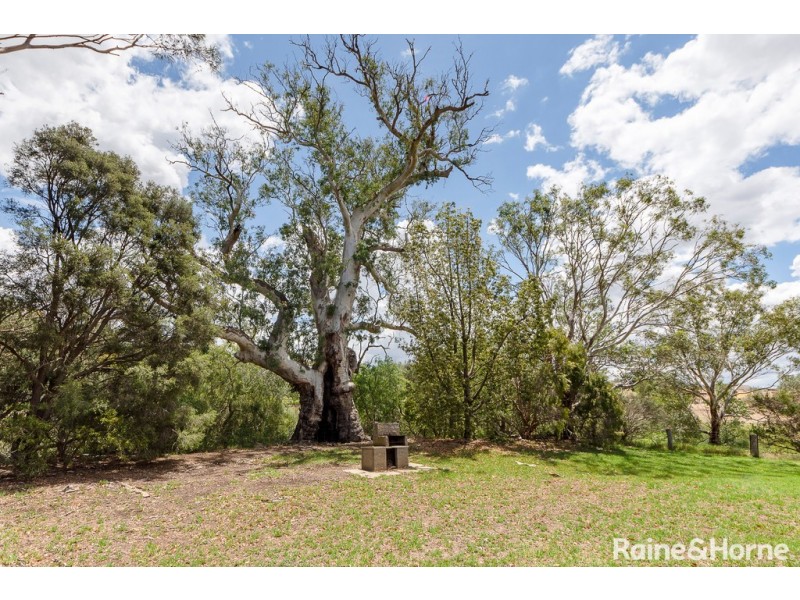 25 Manse Road, Strathalbyn SA 5255