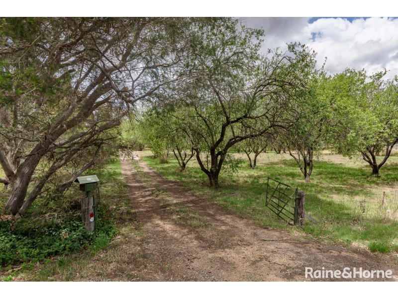25 Manse Road, Strathalbyn SA 5255