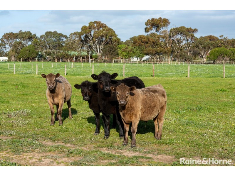 21 Main Road, Finniss SA 5255