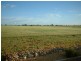 Lot 15 Trainers Way, Strathalbyn SA 5255