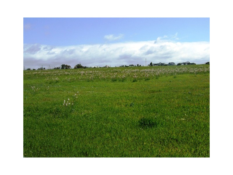 Lot 15 Trainers Way, Strathalbyn SA 5255