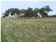 Lot 15 Joppich Road, Strathalbyn SA 5255