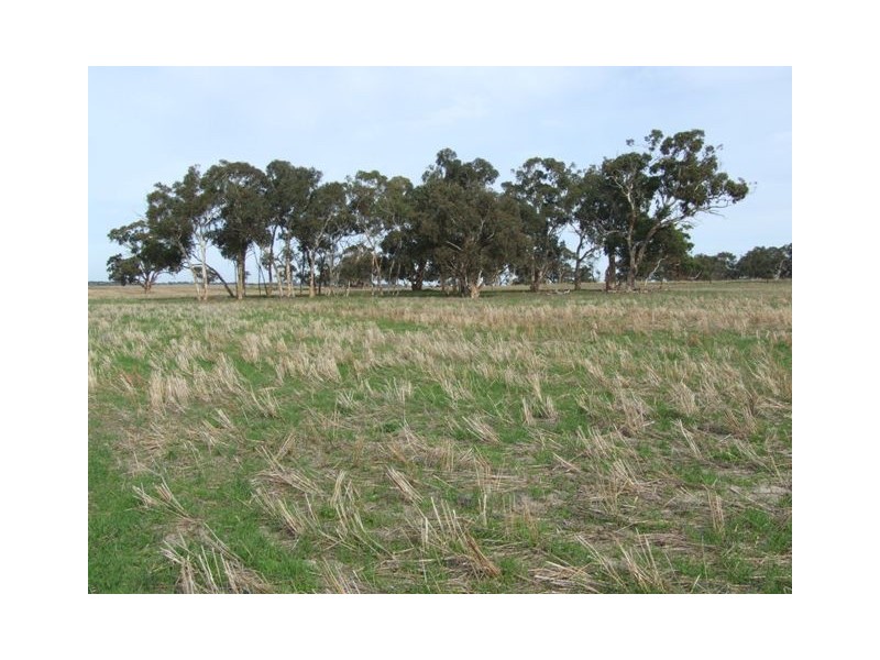 Lot 15 Joppich Road, Strathalbyn SA 5255