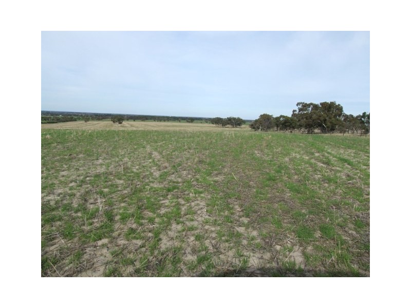 Lot 15 Joppich Road, Strathalbyn SA 5255