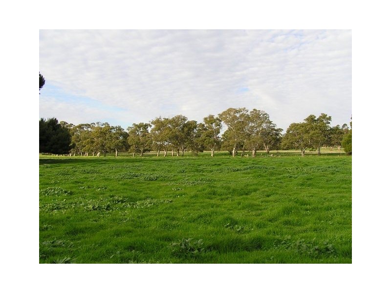Lot 36 Hampden Way, Strathalbyn SA 5255