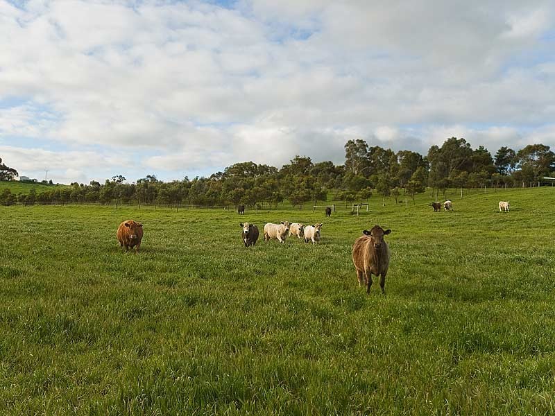 Lot 10 Long Valley Road, Strathalbyn SA 5255