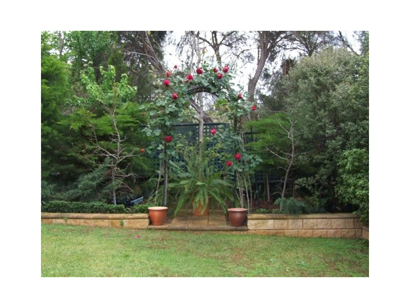 3 Wolf Avenue, Strathalbyn SA 5255