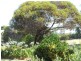 11 Shoreline Drive, Clayton SA 5256