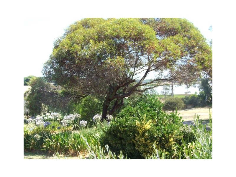 11 Shoreline Drive, Clayton SA 5256