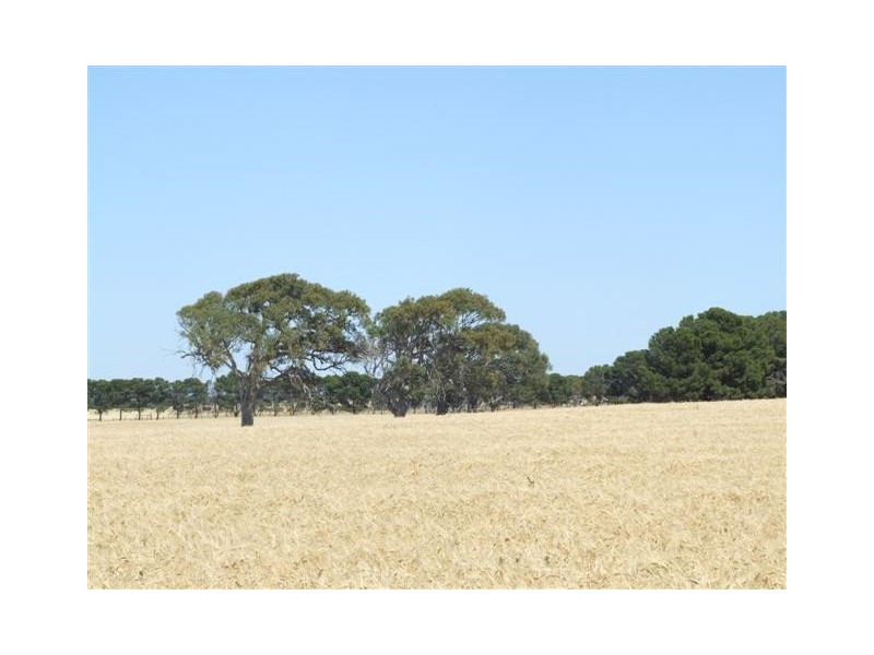 Lot 3 Ballandown Road, Milang SA 5256