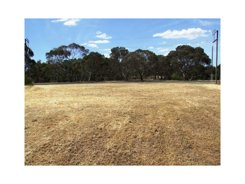 13 Fairfield Drive, Strathalbyn SA 5255