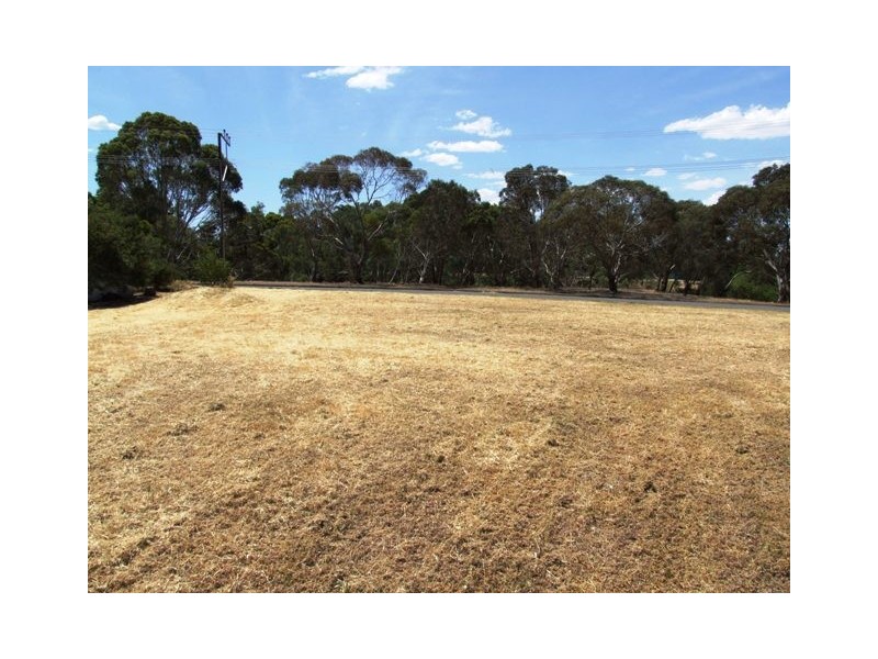 13 Fairfield Drive, Strathalbyn SA 5255