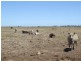 Lot 35 and 36 Windemere Road, Milang SA 5256