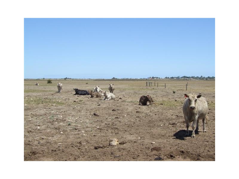 Lot 35 and 36 Windemere Road, Milang SA 5256