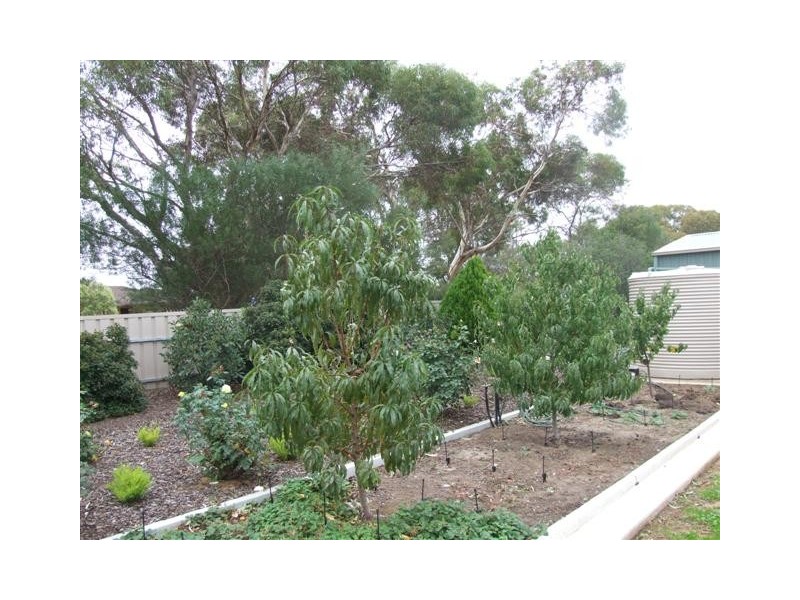 7 Garwood Avenue, Strathalbyn SA 5255