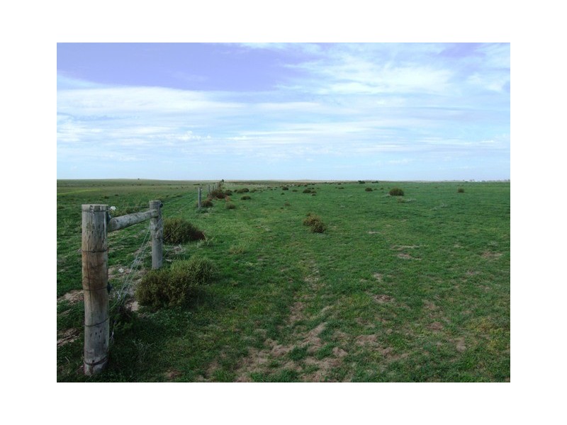 SEC 216 Old Mulgundawa School Road, Langhorne Creek SA 5255