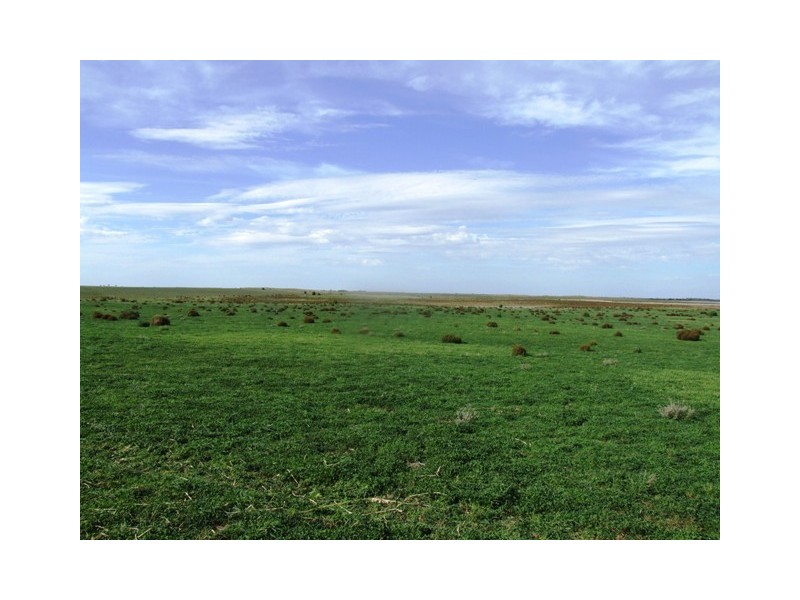 SEC 216 Old Mulgundawa School Road, Langhorne Creek SA 5255