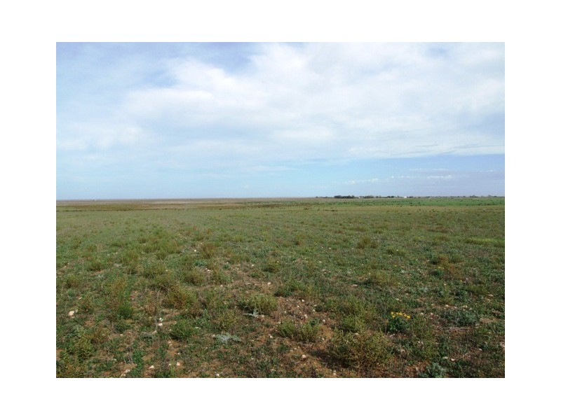 SEC 217 Old Mulgundawa School Road, Langhorne Creek SA 5255