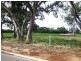 Lot 17 Haigh Court, Strathalbyn SA 5255