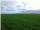 SECTION 503 FLAGSTAFF ROAD, Murray Bridge SA 5253