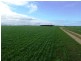 SECTION 503 FLAGSTAFF ROAD, Murray Bridge SA 5253