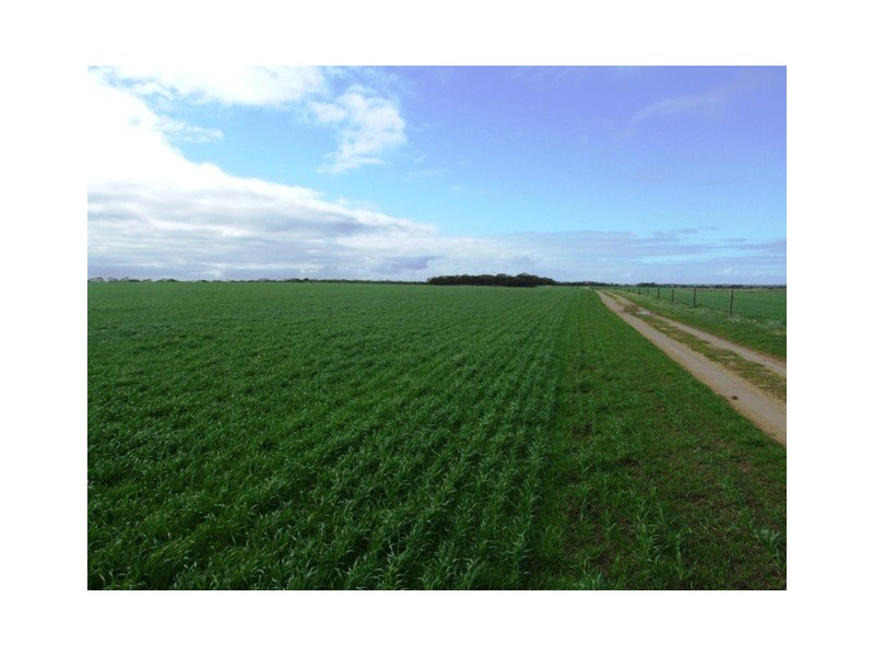 SECTION 503 FLAGSTAFF ROAD, Murray Bridge SA 5253