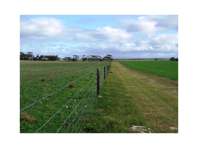 SECTION 503 FLAGSTAFF ROAD, Murray Bridge SA 5253