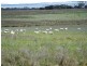 SECTION 503 FLAGSTAFF ROAD, Murray Bridge SA 5253