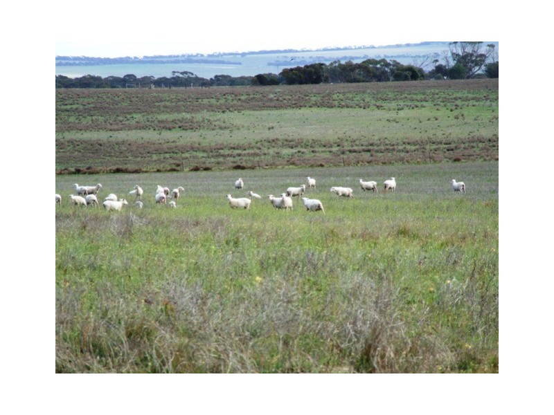 SECTION 503 FLAGSTAFF ROAD, Murray Bridge SA 5253