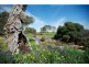Lot 74 St Andrews Drive, Strathalbyn SA 5255