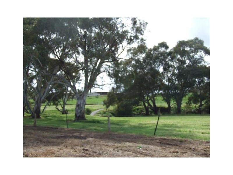 Lot 146 Lamshed Close, Strathalbyn SA 5255