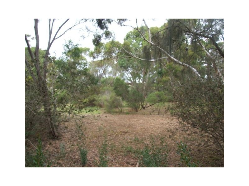 4 Stoddart Street, Strathalbyn SA 5255