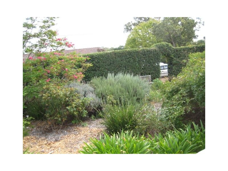 14 East Terrace, Strathalbyn SA 5255