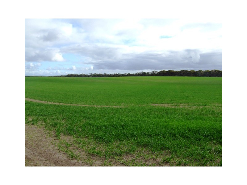 Lot 100 Brinkley Road, Murray Bridge SA 5253