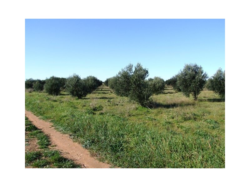 Lot 2 Milang Road, Strathalbyn SA 5255