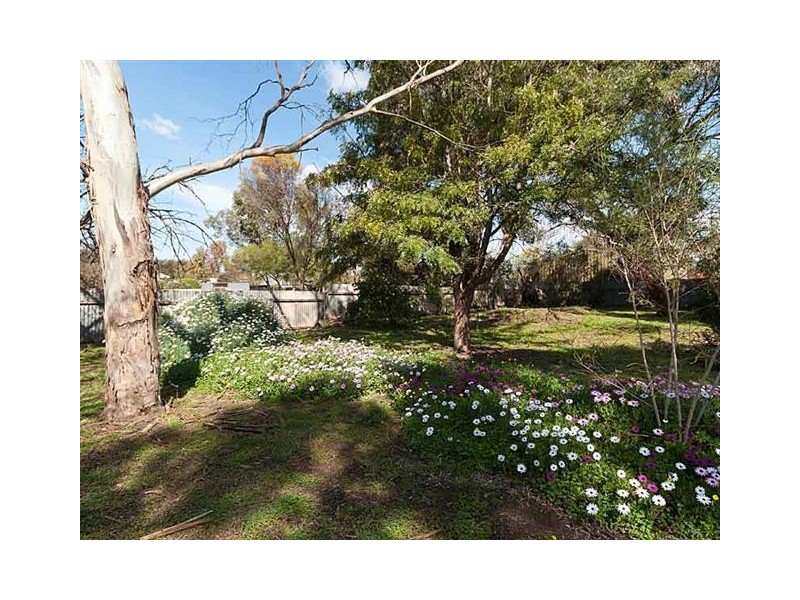 19 Commercial Road, Strathalbyn SA 5255