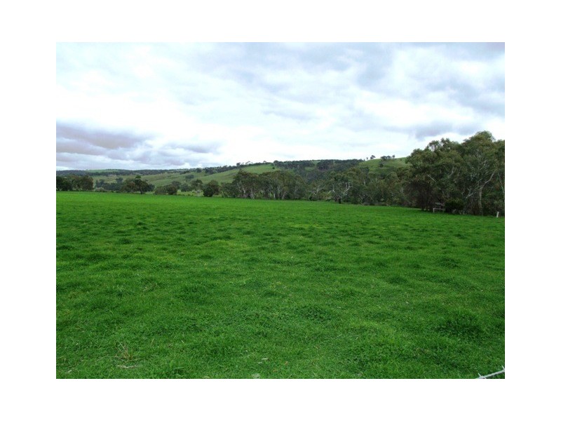 Lots 33 and 34 Christina Street, Strathalbyn SA 5255