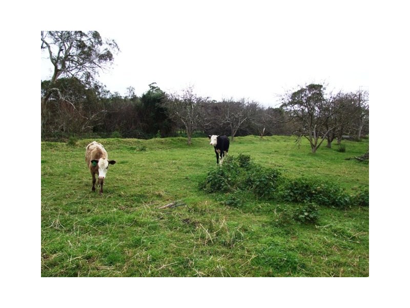 Lots 33 and 34 Christina Street, Strathalbyn SA 5255