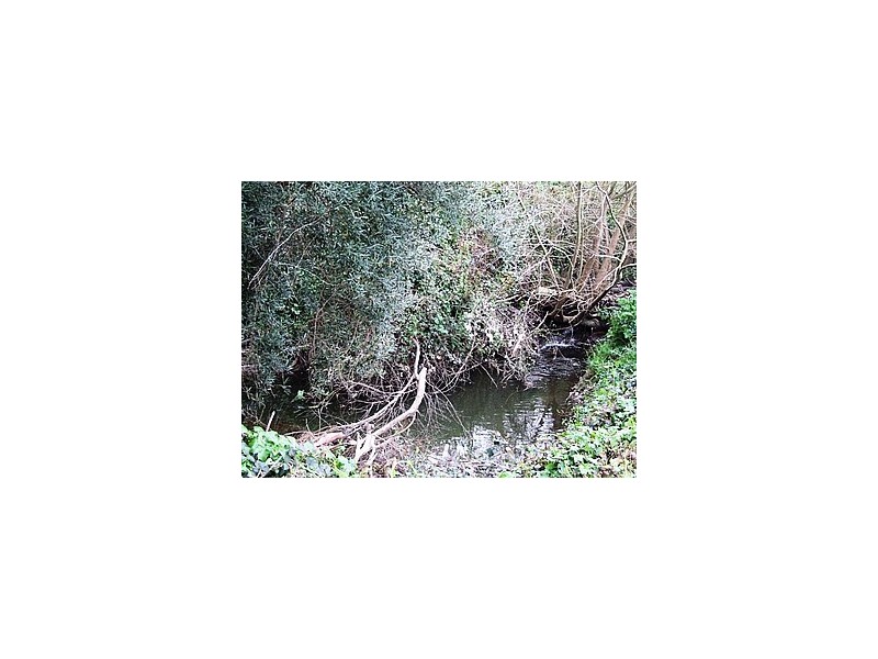 Lots 33 and 34 Christina Street, Ashbourne SA 5157