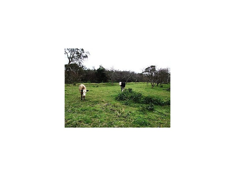 Lots 33 and 34 Christina Street, Ashbourne SA 5157