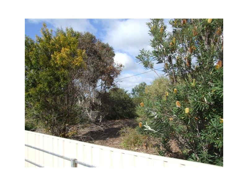 68A (Lot 40) Ashbourne Road, Strathalbyn SA 5255